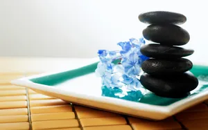 SPA特写 第四辑_4