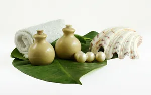 SPA特写 第四辑_10