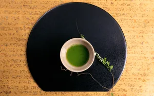 JapElegance 第二辑_2