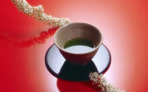 JapElegance 第一辑_5