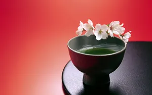 JapElegance 第一辑_10