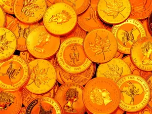 黄金 第二辑_5