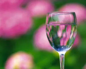 玻璃杯 第二辑_8