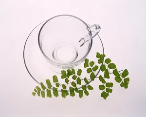 玻璃杯 第二辑_18