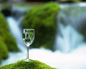 玻璃杯 第一辑_6