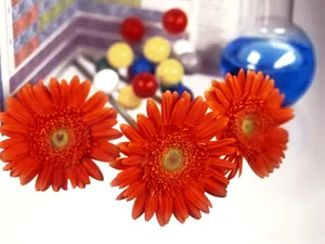鲜花与仪器 第一辑