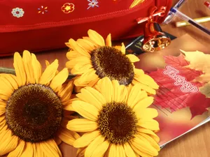 鲜花与仪器 第一辑_11