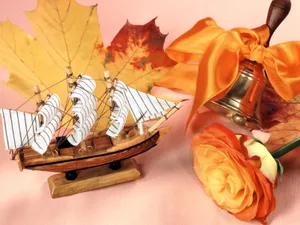 鲜花与仪器 第一辑_13