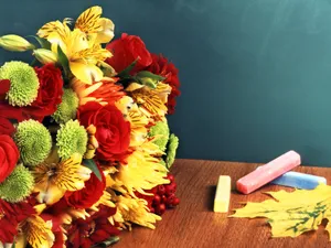 鲜花与仪器 第一辑_16