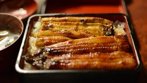 美味好吃的鳗鱼图片_9
