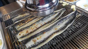 美味好吃的鳗鱼图片_11