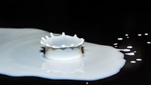 香浓营养的牛奶图片_2