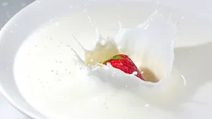 香浓营养的牛奶图片_10