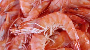 美食大虾图片_9