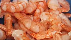 美食大虾图片_10