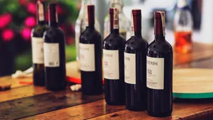 葡萄酒图片大全_4