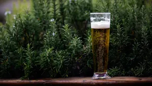高清啤酒图片_7