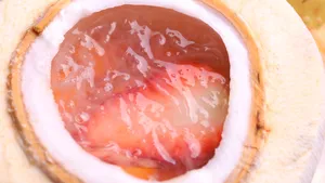 美味营养燕窝图片_5