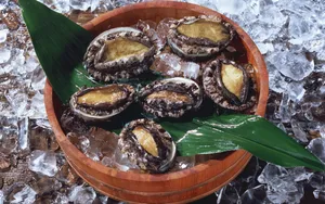 美味鲍鱼图片_1