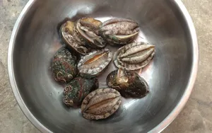 美味鲍鱼图片_2