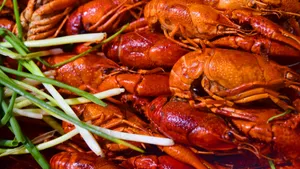 美食麻辣小龙虾图片_14