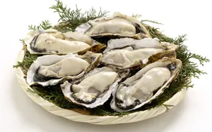 海鲜生蚝牡蛎图片_4