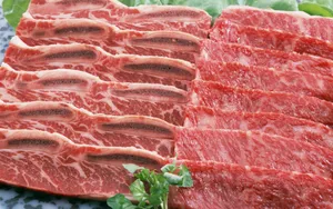 营养美食雪花牛肉片食材_2