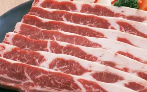 营养美食雪花牛肉片食材_14