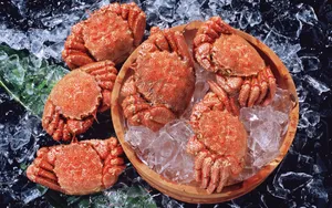 河蟹,毛蟹,大闸蟹,螃蟹食材图片_6