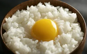 营养主食米饭图片_13