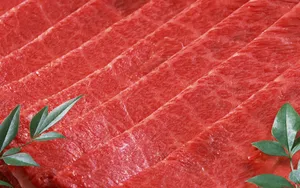 上等的雪花牛肉食材图片_9