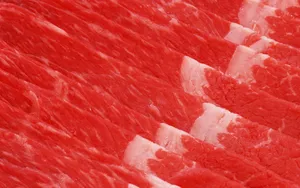 上等的雪花牛肉食材图片_11