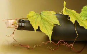 葡萄酒图片_16