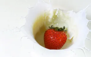 香醇牛奶图片壁纸_10