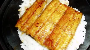 美味鳗鱼饭图片_2