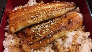 美味鳗鱼饭图片_6