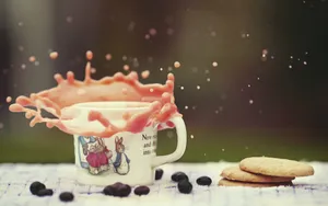 饼干图片_15