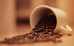 温暖浓郁的咖啡杯高清壁纸_8