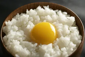 米饭特写_3