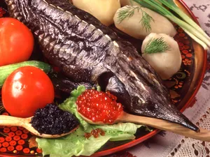 俄式饮食大餐 第二辑_6