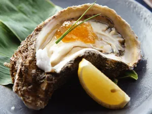 美食大餐 第二辑_4