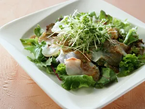 美食大餐 第二辑_13