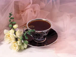 茶艺 第二辑
