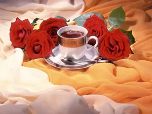 茶艺 第二辑_8