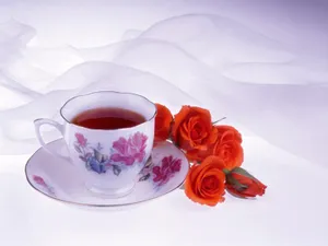 茶艺 第二辑_10
