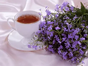 茶艺 第二辑_19