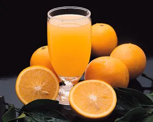 酒水饮料 第九辑_18
