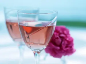 酒水饮料 第六辑