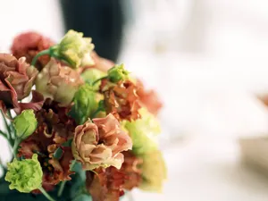 酒水饮料 第六辑_2