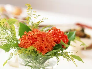 酒水饮料 第六辑_3